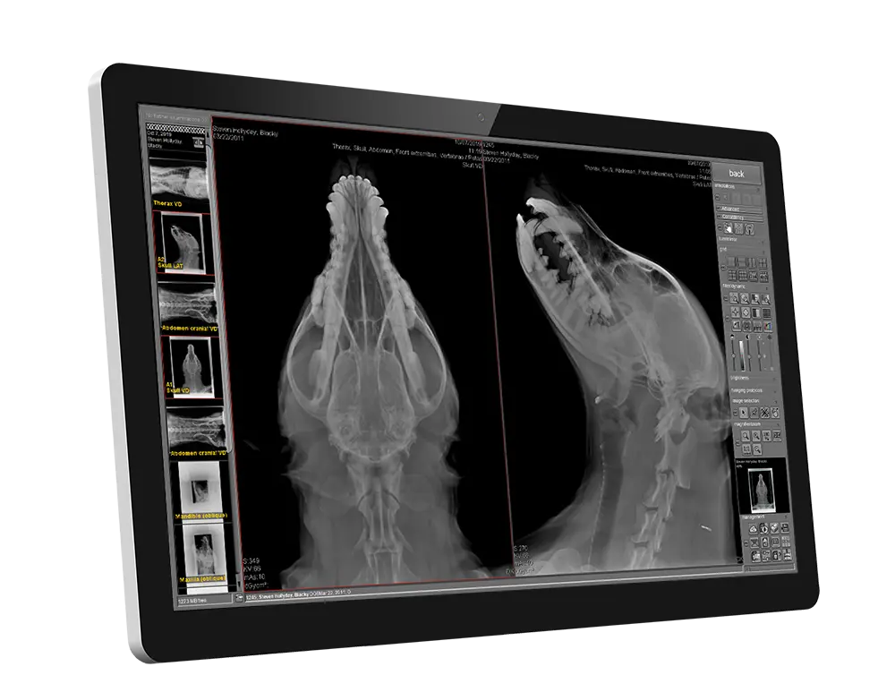 Screenshot of dicomPACS DX-R Vet software for veterinary imaging