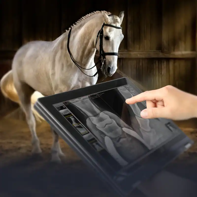 Veterinarian looking at an x-ray of a horse on mobile device